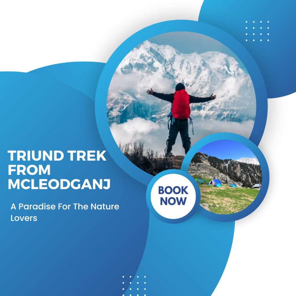 Triund Trek From Mcleodganj – A Paradise For The Nature Lovers