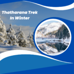 Thatharana Trek In Winter