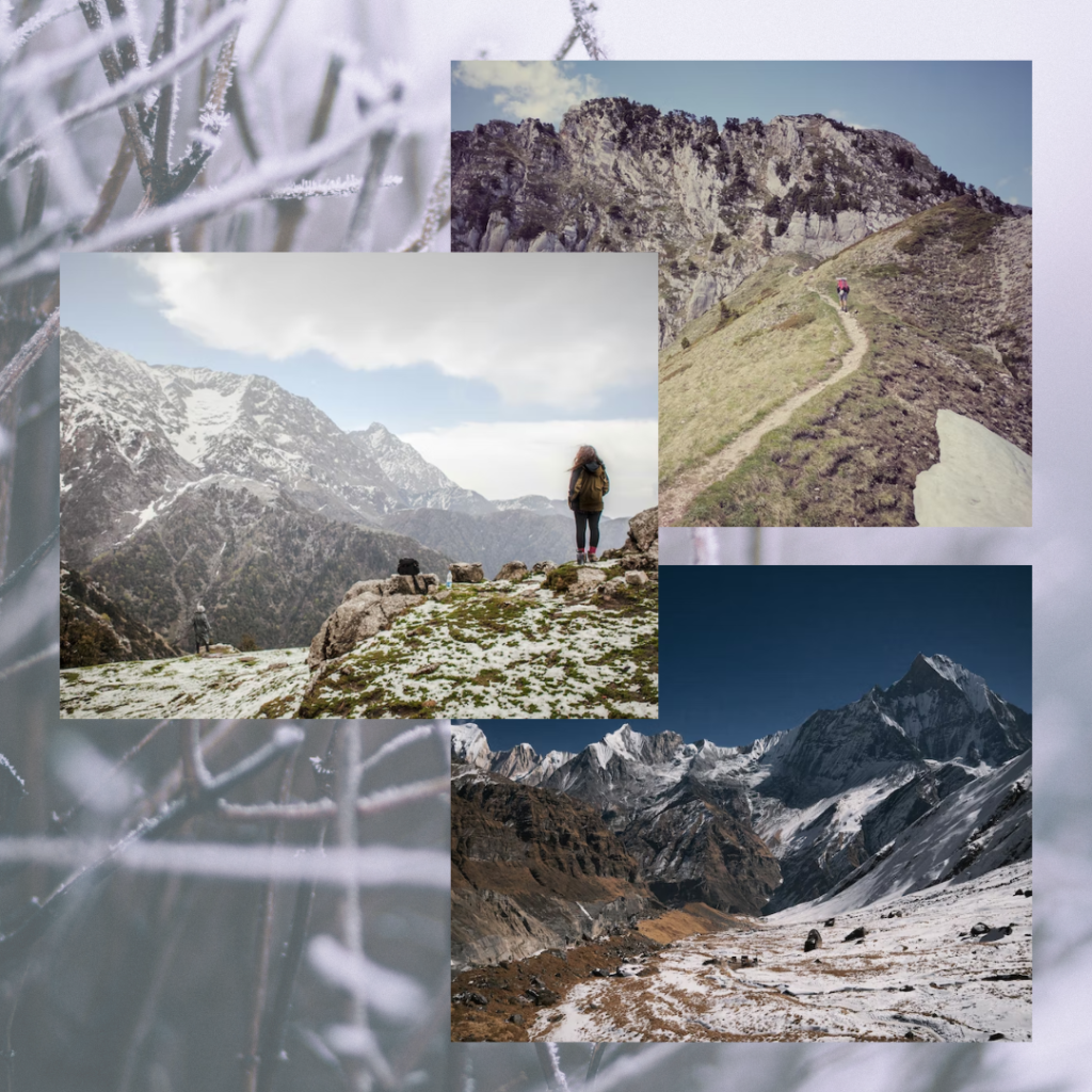 A Quick And Complete Guide On Triund Trek