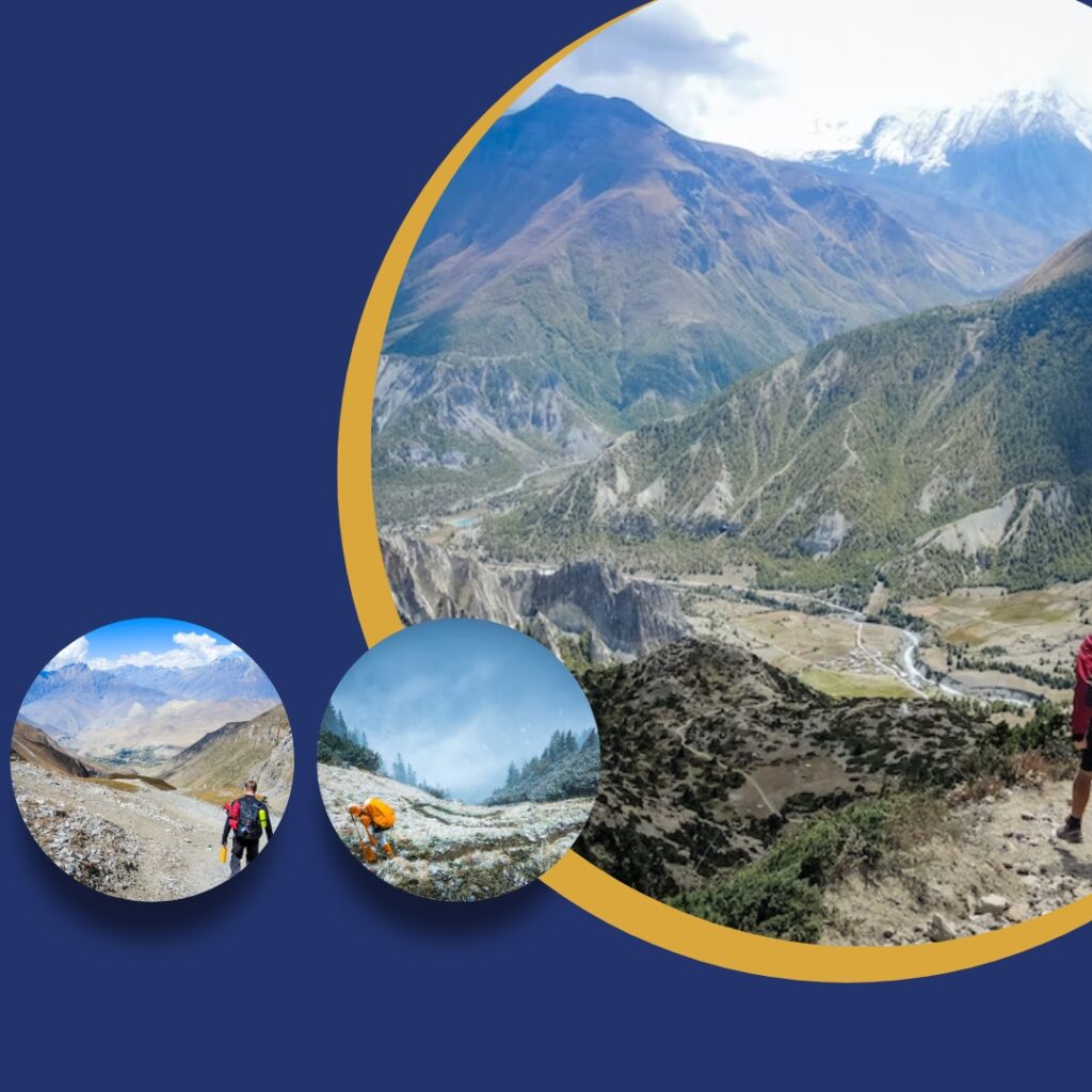 Beautiful Things To Know About The Thatharana Trek In Winter