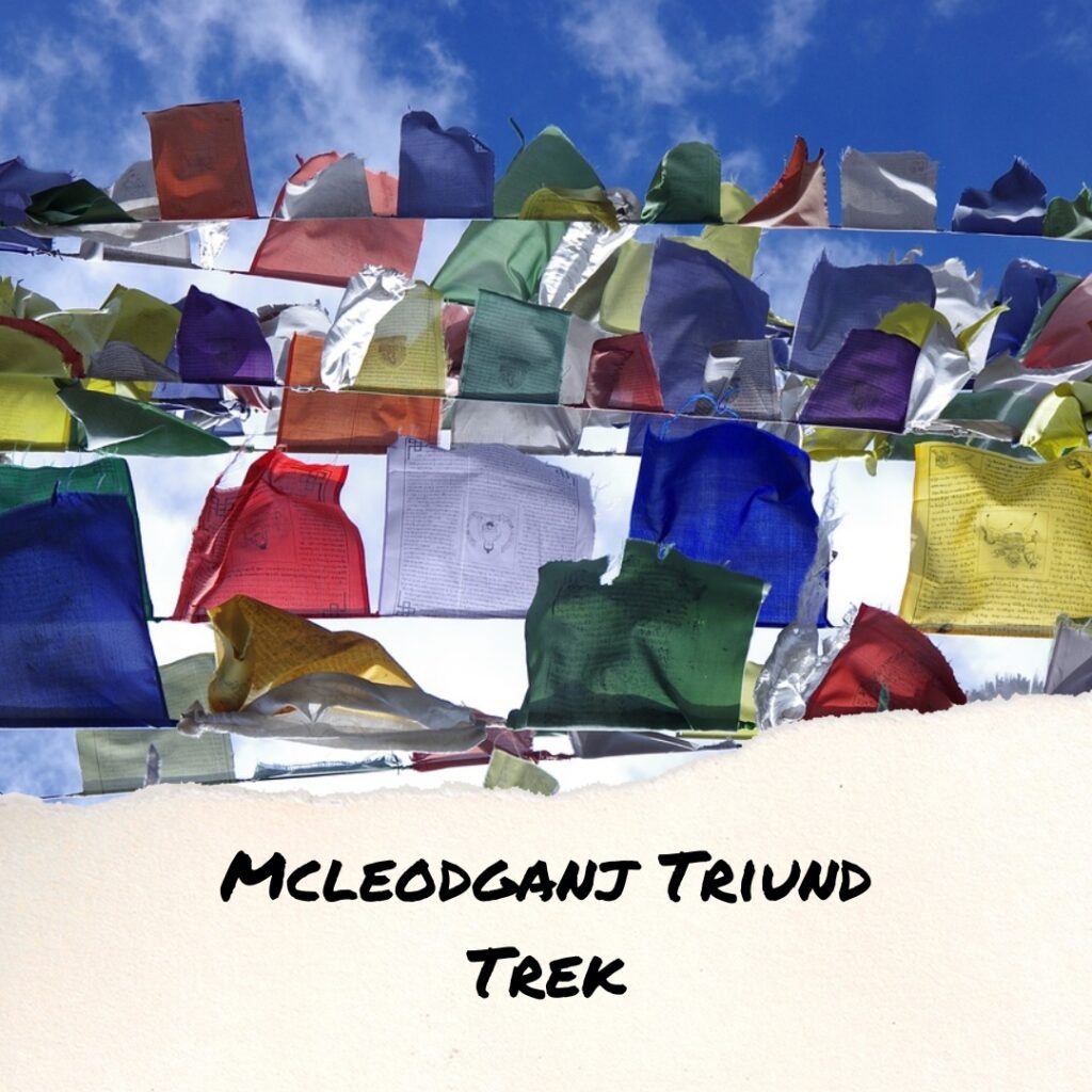 Discover The Beauty Of Mcleodganj Triund Trek: A Photo Journey